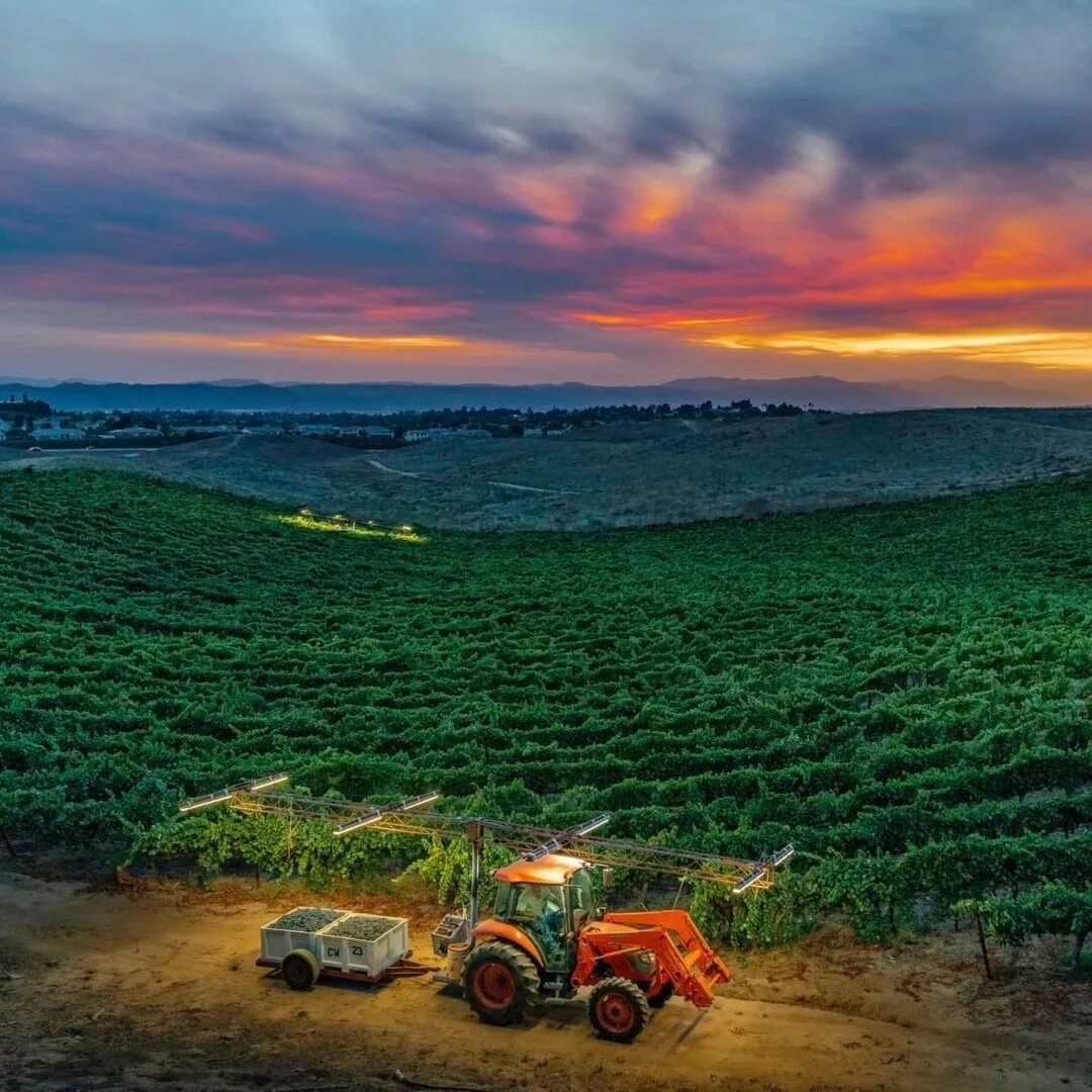 Пляж халф мун. Месяц в калифорнии. Месяц в калифорнии. Ирвайн лос анджелес. Твин пикс калифорния.