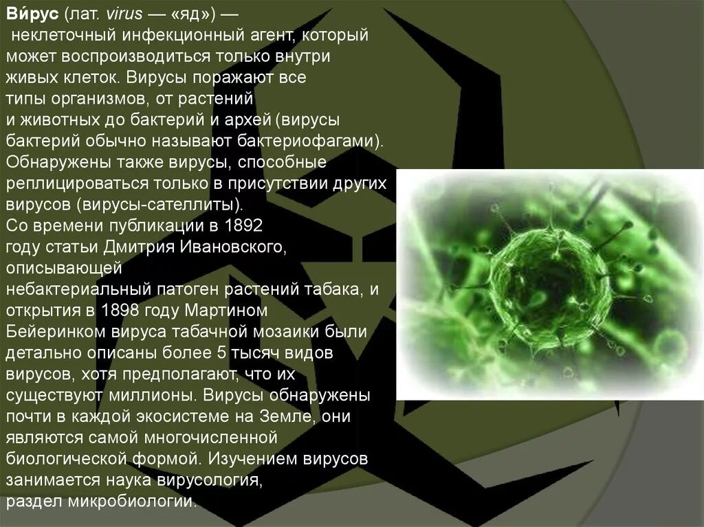 Почему есть вирусы. Почему есть вирусы