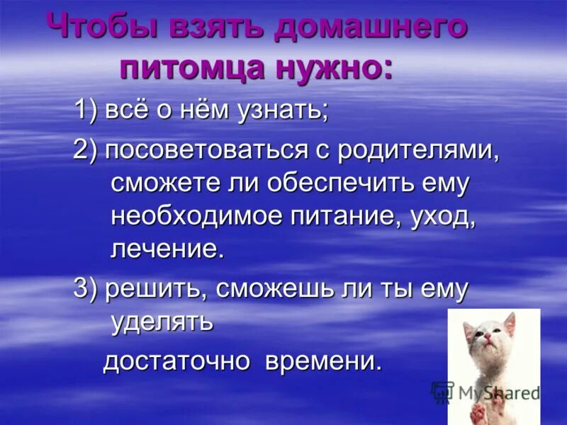 Проект про домашних питомцев. Презентация про домашнего питомца. Презентация Мои домашние питомцы. Презентация мой домашний питомец.