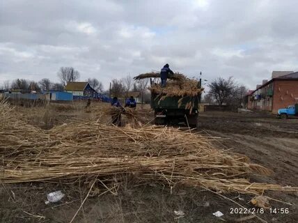 Под астраханью
