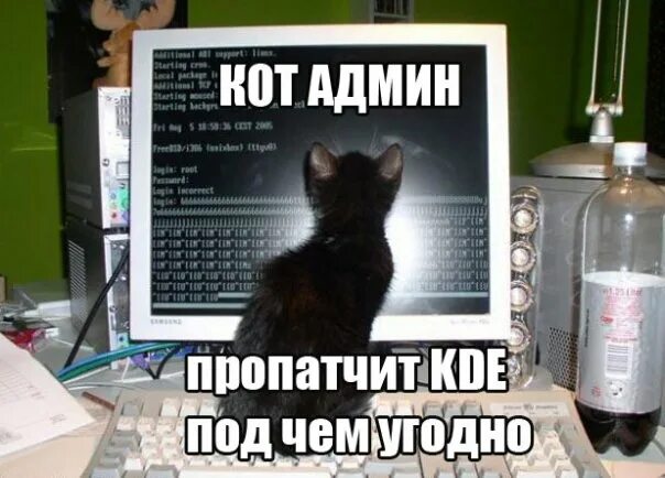 Скинь админу. Кот сисадмин. Кот системный администратор. Котик админ. Сисадмин и кот приколы.