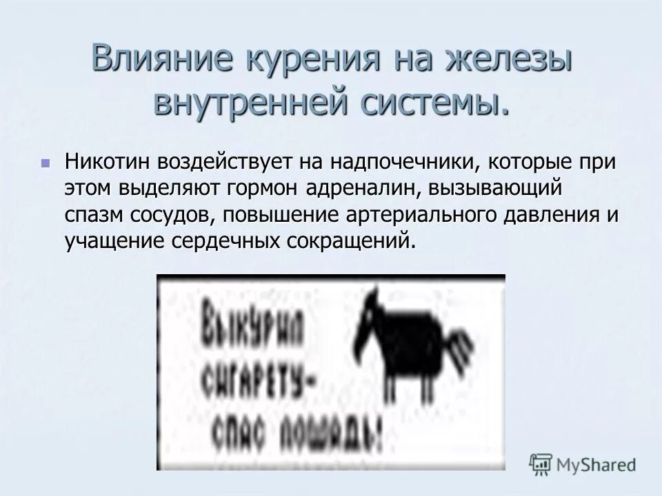 Как никотин влияет на давление. Никотин воздействует на надпочечники. никотин вызывает адреналин. никотин как влияет на стул. повышение адреналина при курении эффект.