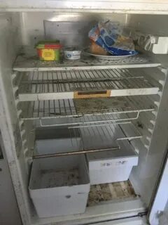 Плесень в холодильнике: как избавиться народными и современными методами, причин