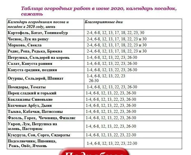 Посевной календарь. Посевной календарь 2020. Благоприятные дни для посева рассады в марте. Лунный посадочный календарь 2020. Посевной календарь огородника 2020 год