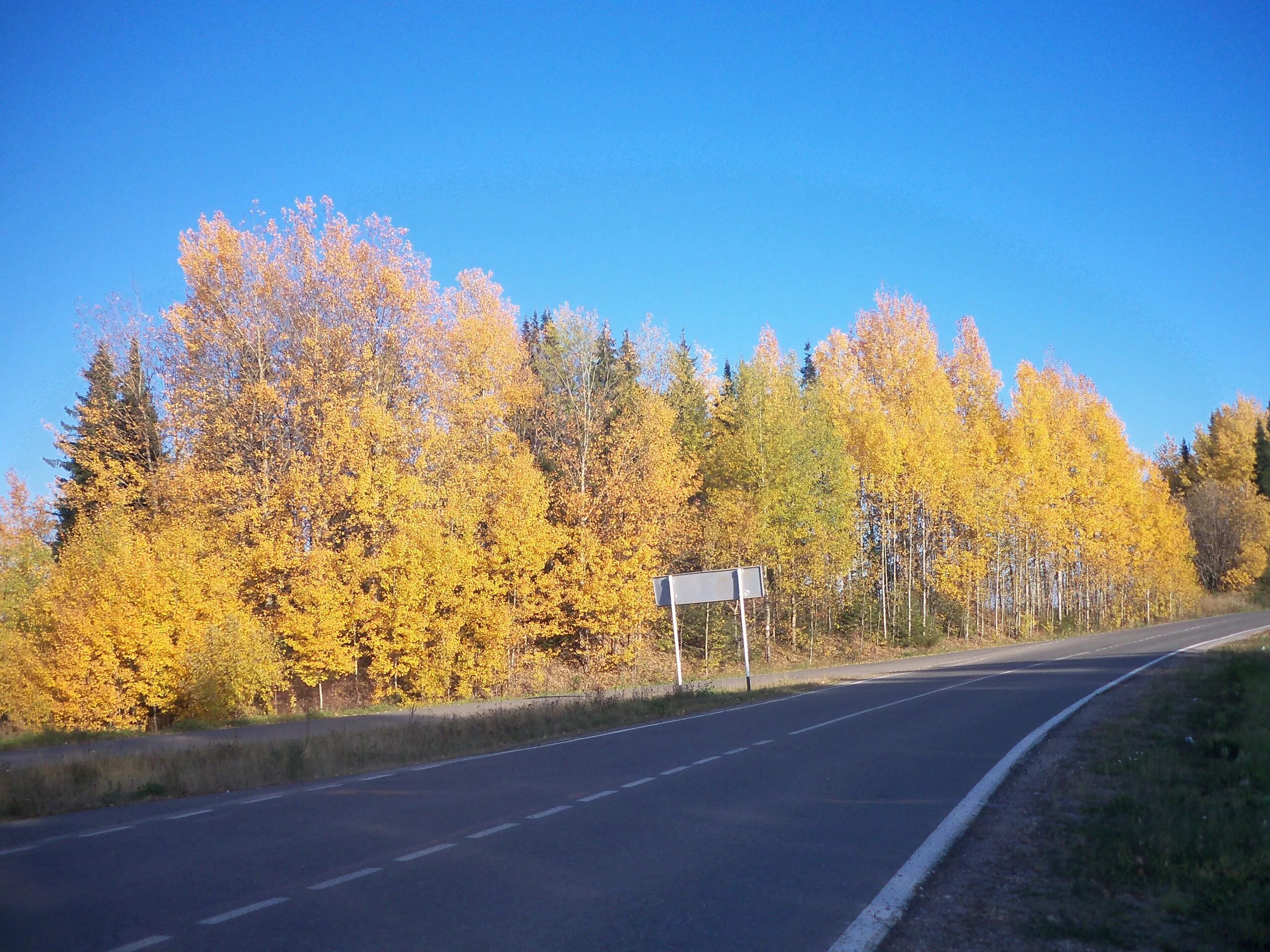 Пермский край шоссе. Золотая осень Пермь. Пермский край осенью. Осенняя дорога Пермский край. Пермь осенью.