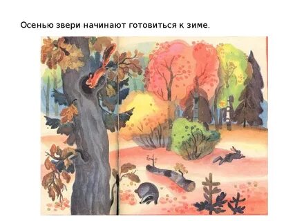 Изменение диких животных осенью