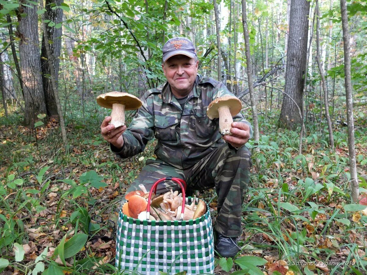 Мода грибника