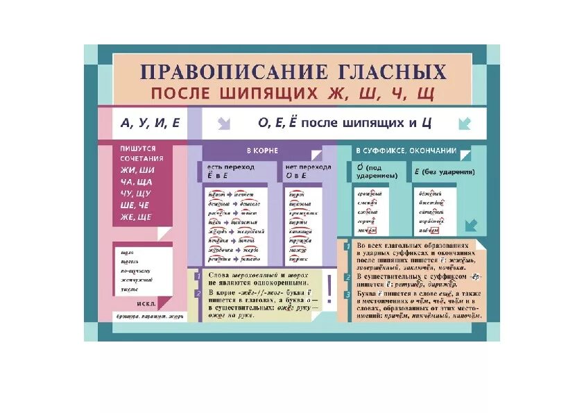 Слова после шипящих ж. Гласные после шипящих правописание. Правописание гласной после шипящих и ц. Правописание гласных после шипящих. Гласные после шипящих и ц правило 5 класс.