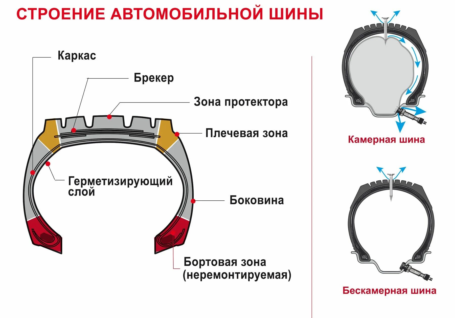 Схема устройства автомобильной шины. Конструкция шины колеса автомобиля. Из чего состоит шина грузового автомобиля. Схема устройства камеры шины. Строение шины