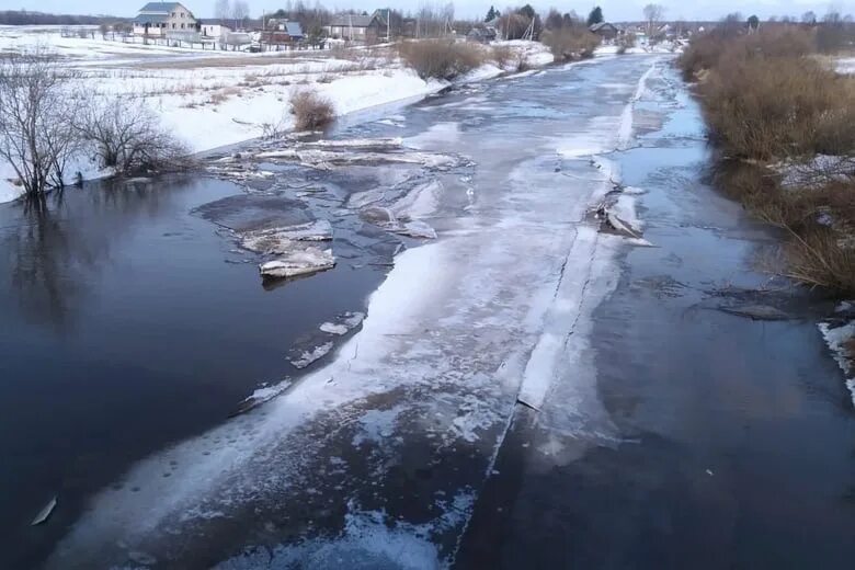 Река Шограш Вологда. Весеннее половодье. Весенний паводок фото. Затор воды. Уровень воды в реке вологда сегодня