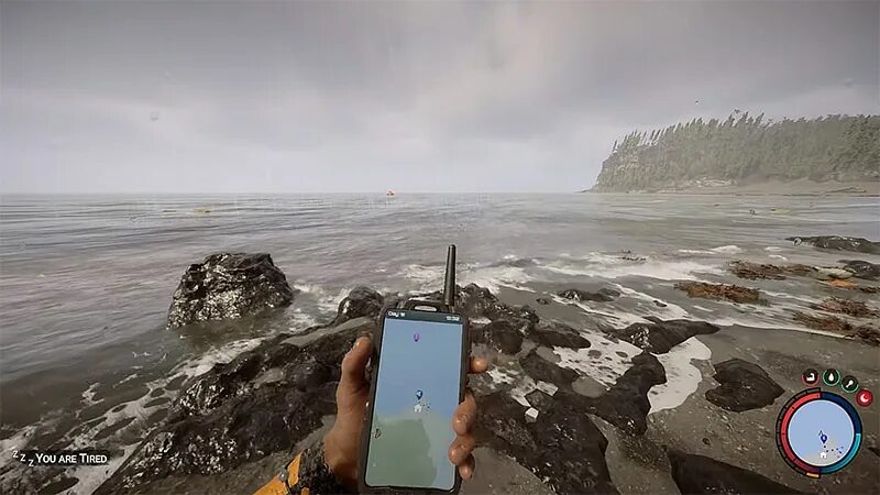 Плот sons of the forest. The forest плот. the forest или raft ?. заброшенный плот raft.
