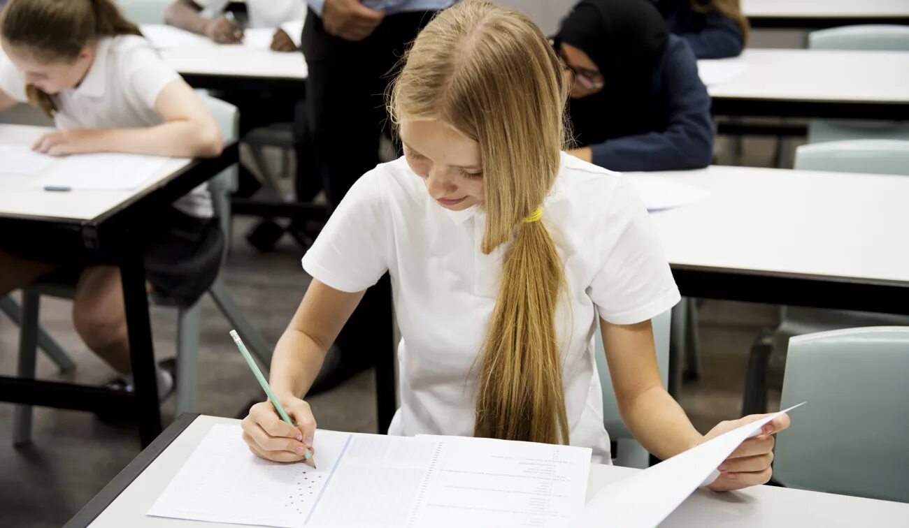 Школа Старшие классы. ВНО. Mock Exam. Оценки в гимназии. После школы тест