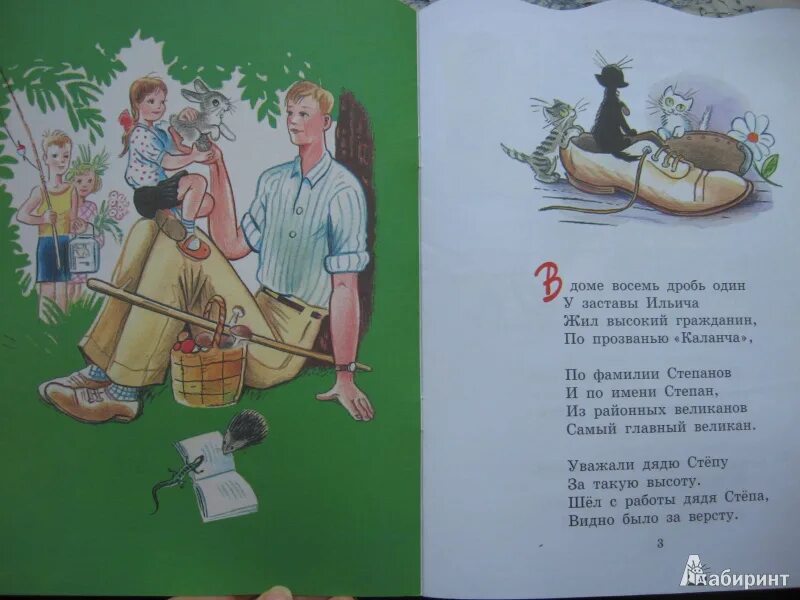 Степ читать