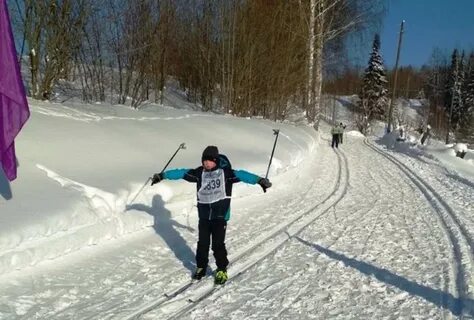 Мечка горнолыжный