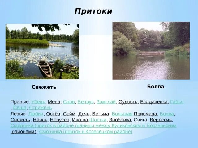 Приток десны 4. Притоки реки десны. притоки реки десны в брянской области. притоки десны в брянской области. река снежеть брянской области.