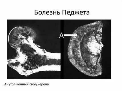 Ең элиталық порно жұлдыздардың секс фотосуреттері