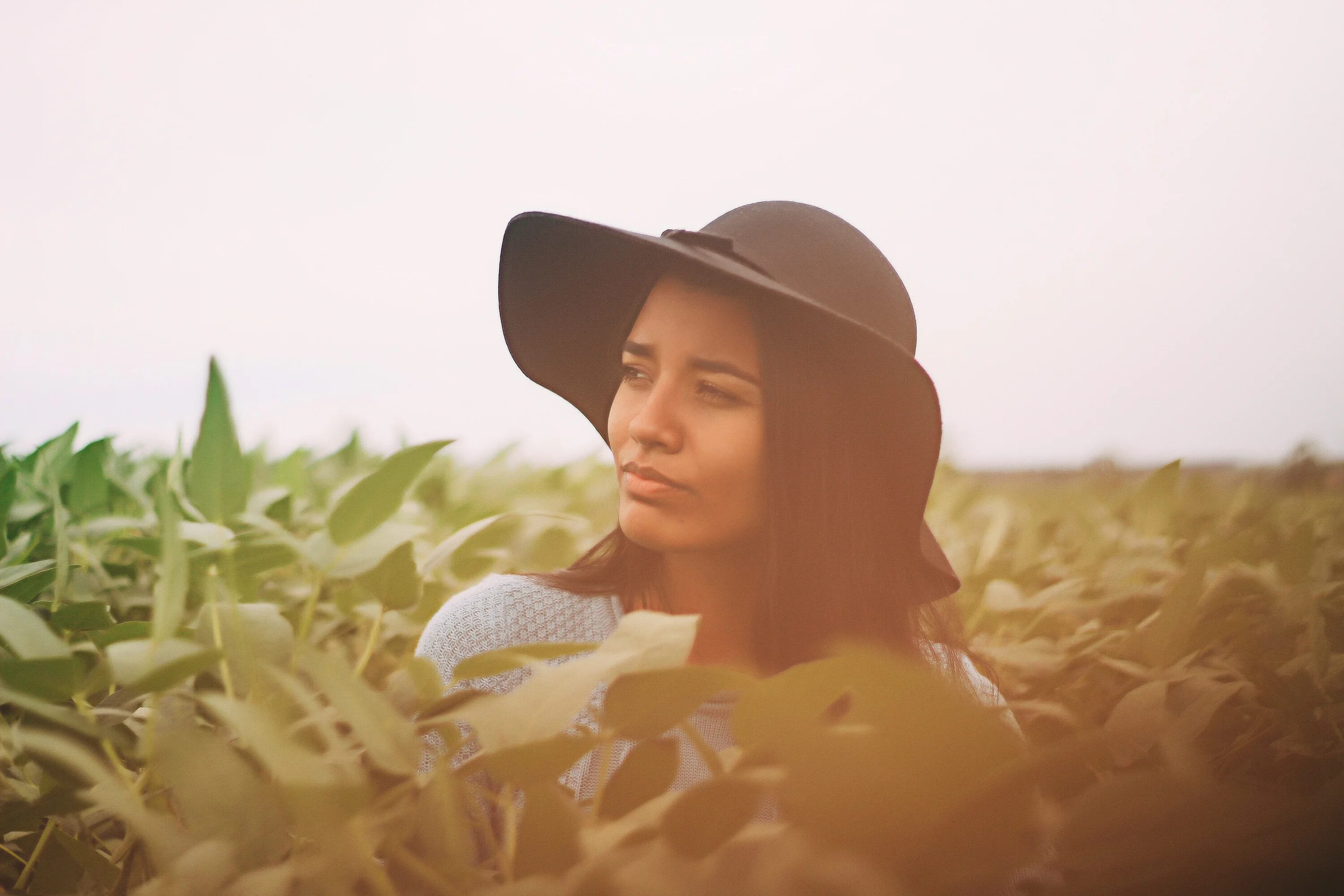 Style field