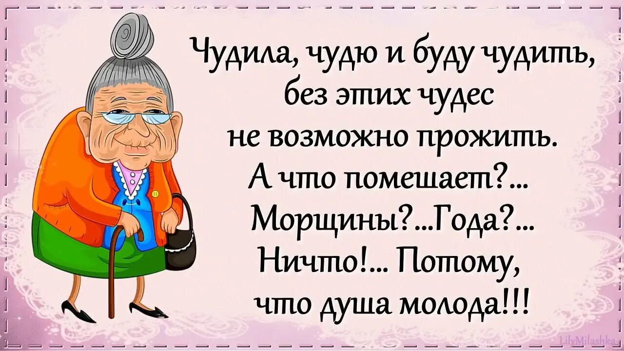 Чудила мем. Чувствую путной старухи из меня не получится. Чудите сами цитаты. Смешные статусы про себя. Чудила.