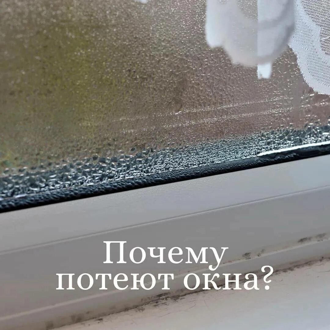 Почему потеют окна в комнате. Почему потеют окна. причина потения окна. окно потеет внутри. из-за чего потеют окна в квартире.