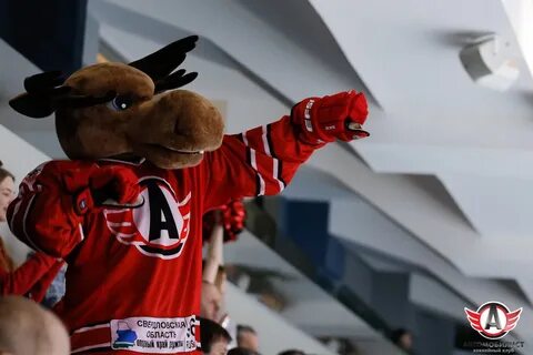 Лось автомобилист