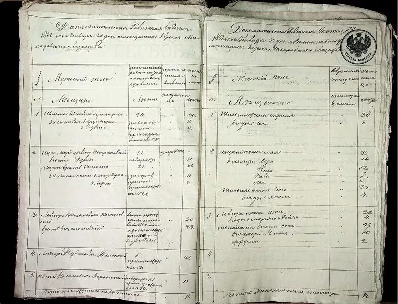 Ревизские сказки. Описи уездов. Описи уездов. Описи ргада ревизские сказки шуйский уезд. Хр.