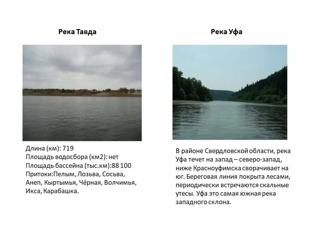 Какие водные объекты находятся в свердловской области. Реки озёра Свердловской области список и описание. Протяженность реки Тавда. Растения и животные реки Тавды. Крупные реки Свердловской области.