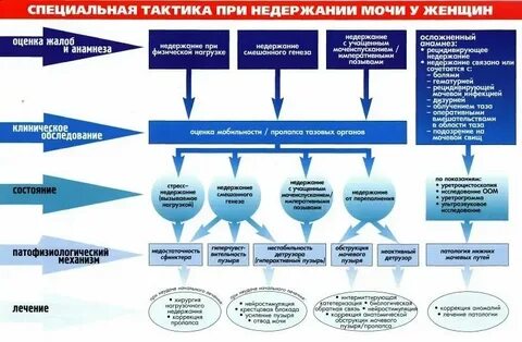 Эффективное лекарство от недержания мочи