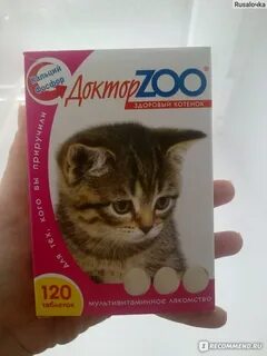 Здоровые котята