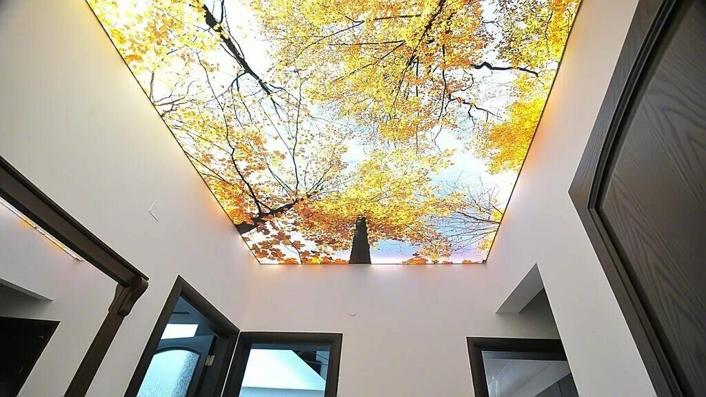 На те же потолки. Натяжные потолки в интерьере. Натяжные потолки с фотопечатью для кухни. На те же потолки. Светящийся натяжной потолок.