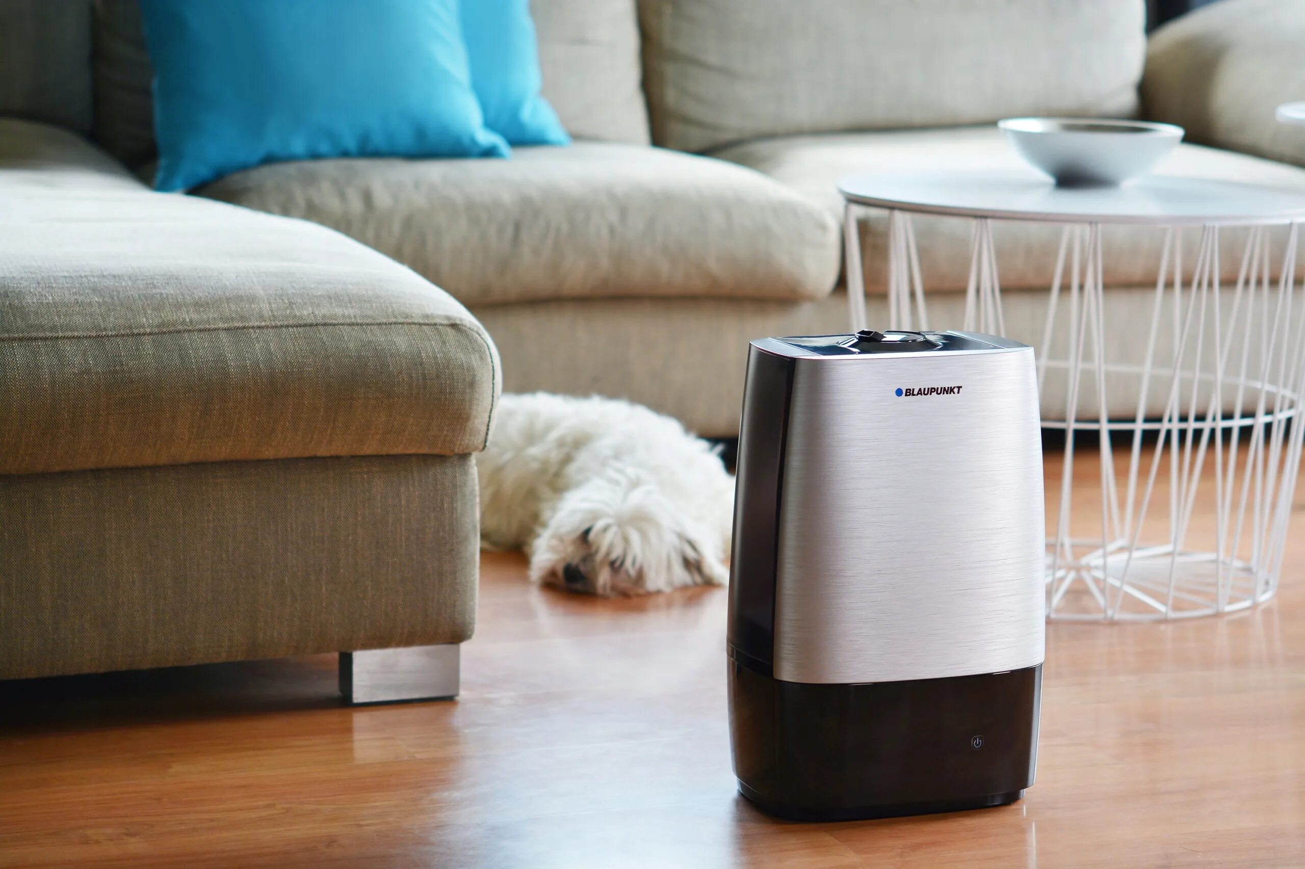 Как правильно выбирать увлажнитель. Увлажнитель воздуха Humidifier w261. Увлажнитель воздуха Humidifier lp2113. Увлажнитель воздуха j-163. Увлажнитель воздуха JCB—740.