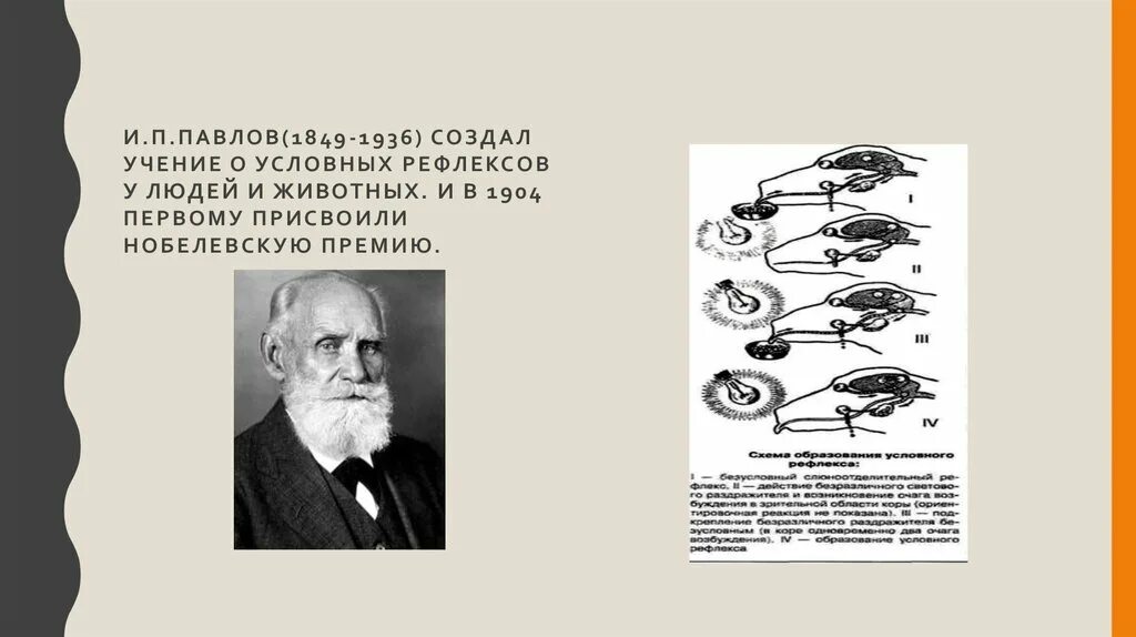 Учение об условных рефлексах создал. Учение Павлова о рефлексах. Павлов условный рефлекс книга. Учение Павлова об условных рефлексах.