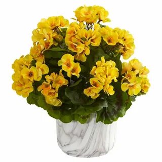 Пеларгония желтая