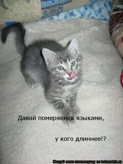 Померяться