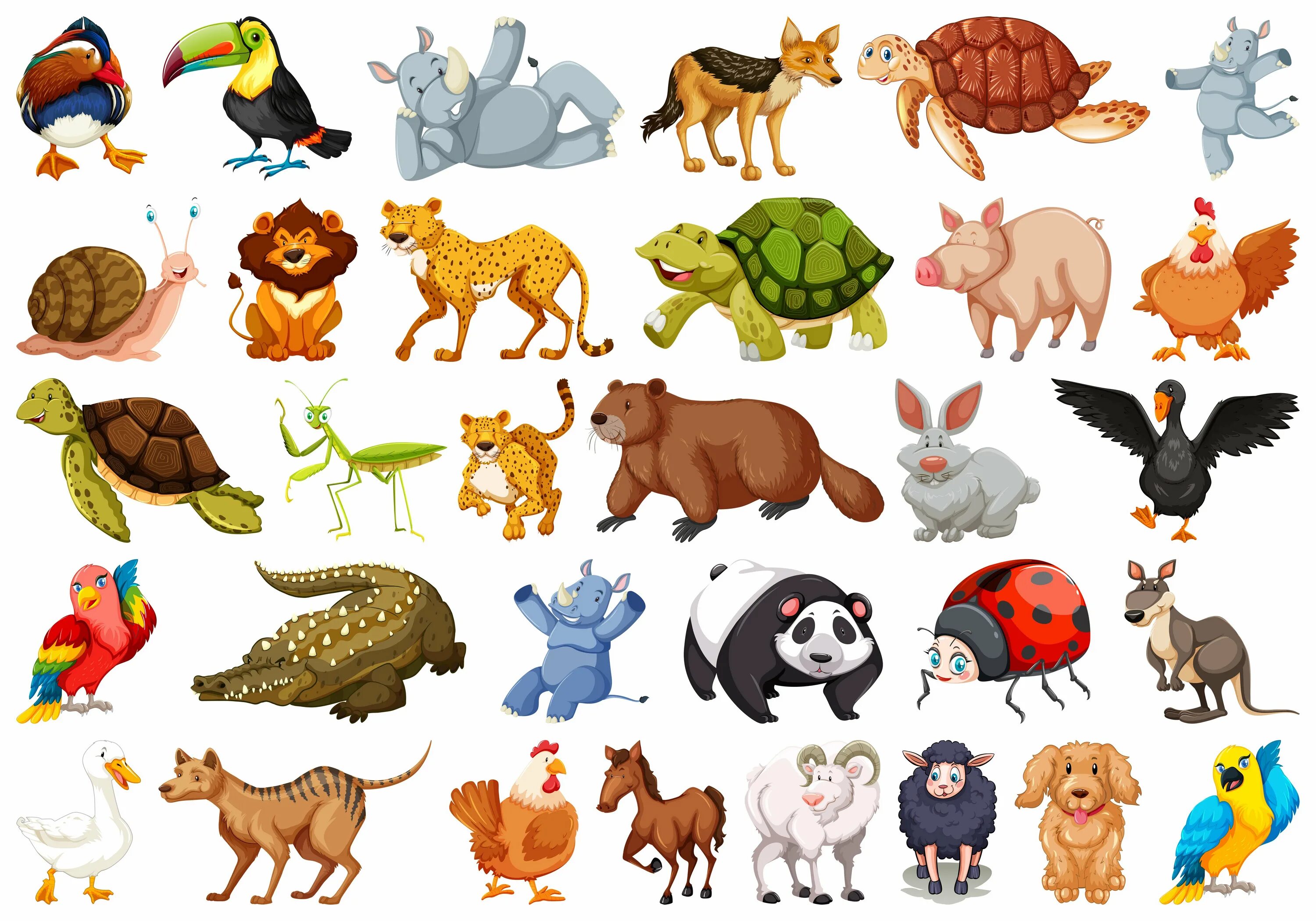 Каких животных ты знаешь. Мультяшные животные для детей. Иллюстрации животных для детей. Мультяшные животные в одном стиле. Много животных на одной картинке.