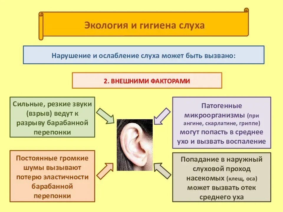 Нарушение органа слуха. Факторы влияющие на слух. Причины нарушения слуха. Факторы снижения слуха. Профилактика нарушений слуха