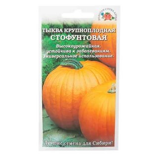 Тыква стофунтовая