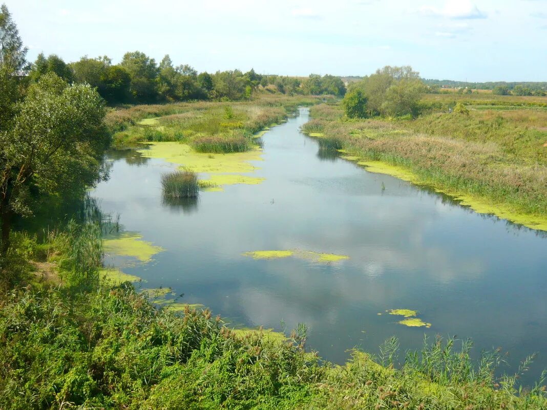 Храм пантеон в риме. Франциско гойя вплоть до 3 поколения. Поморская вязь. Роза ветров 16 румбов. Спартак 2006 команда.