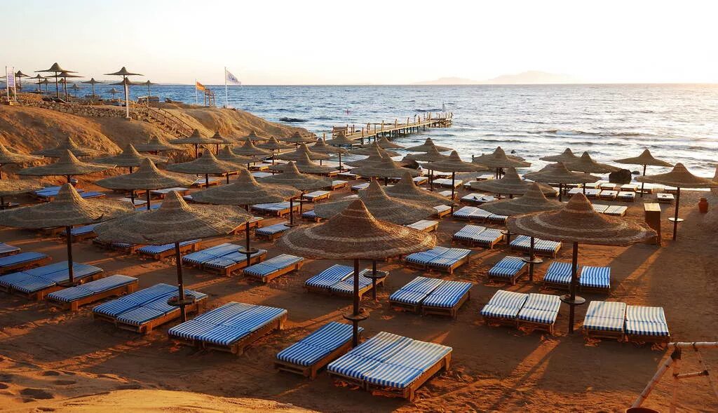 Амфора бич 5 шарм эль шейх. Otium Family Amphoras Beach Resort 5. Shores Amphoras Resort 5 Шарм-Эль-Шейх. Амфора Бич Резорт Шарм Эль Шейх пляж. Otium Amphoras 5 Шарм-Эль-Шейх.