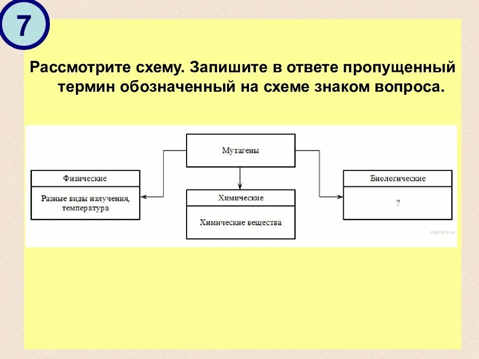 Запишите слово пропущенное в таблице понятия. Рассмотрите схему. Рассмотрите схему запишите в ответе пропущенный. Запишите пропущенный термин обозначенный на схеме знаком. Запиши понятие пропущенное в схеме.