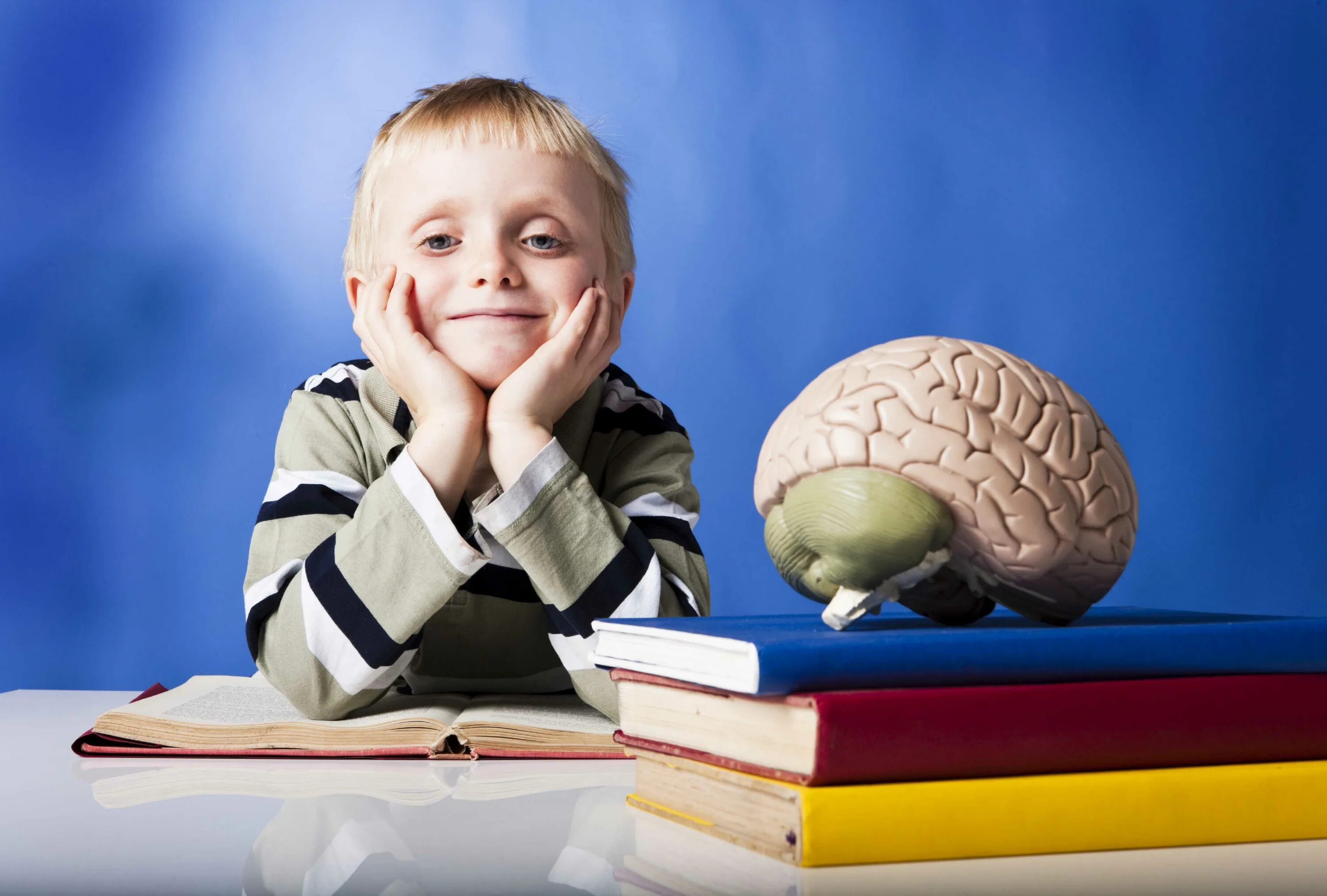 Сделайте из ребенка человека. Мозг ребенка. Интеллектуальные и умственные способности. Интеллект ребенка. Умственное развитие.