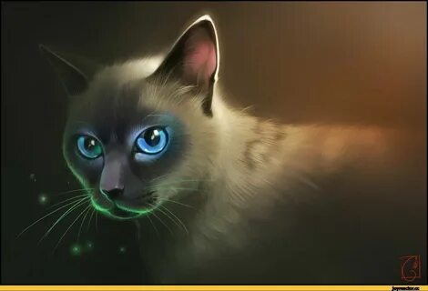 Fantasy cat