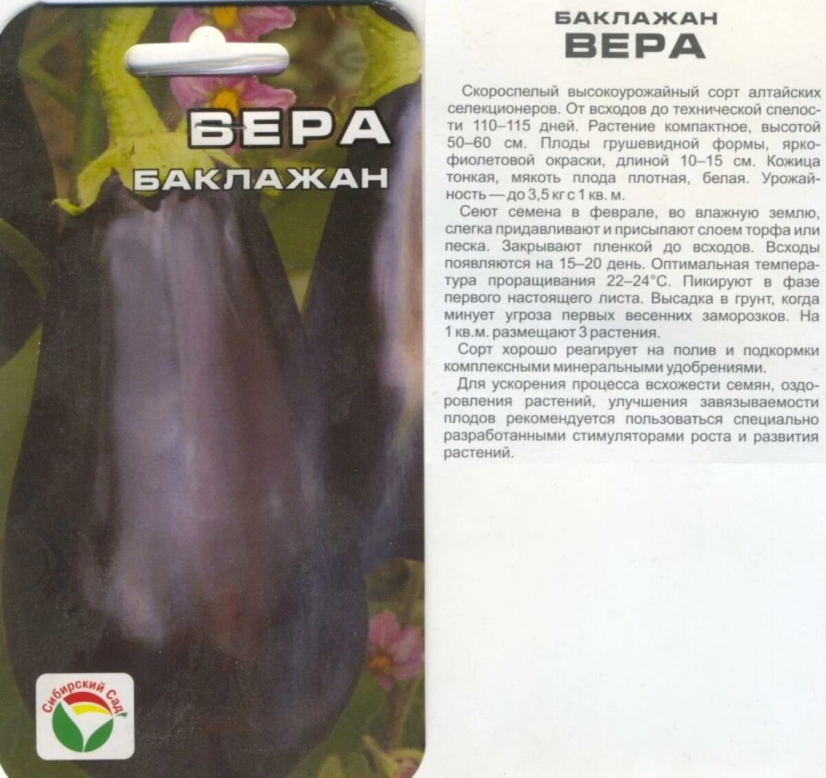 Баклажан эпик f1 описание. Баклажан фиолетовое чудо f1. Баклажан f1 щелкунчик. Баклажан характеристика и описание сорта. Баклажан характеристика и описание сорта.