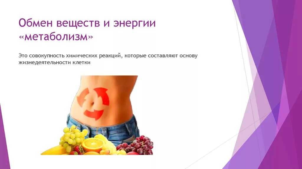 Водоросль утилизирует токсичные продукты обмена веществ. Обменные процессы в организме. обмен веществ в организме человека. обмен веществ и энергии метаболизм. составляющие обмена веществ.
