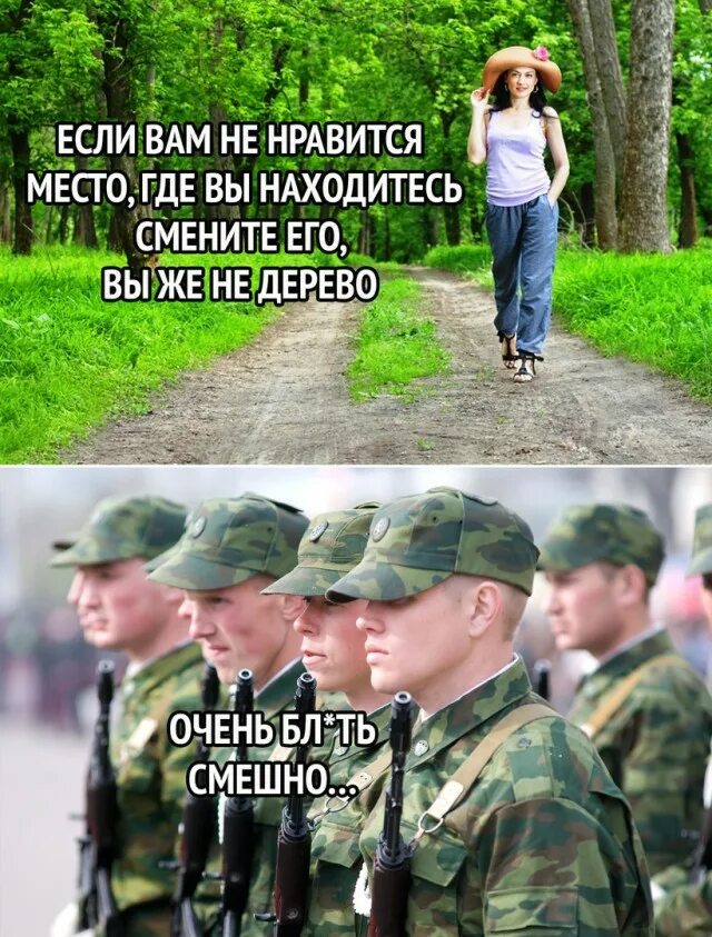 Призыв в армию прикол. Человек не дерево цитата. Где находится изменяет. Осенний призыв приколы. Ты не дерево.
