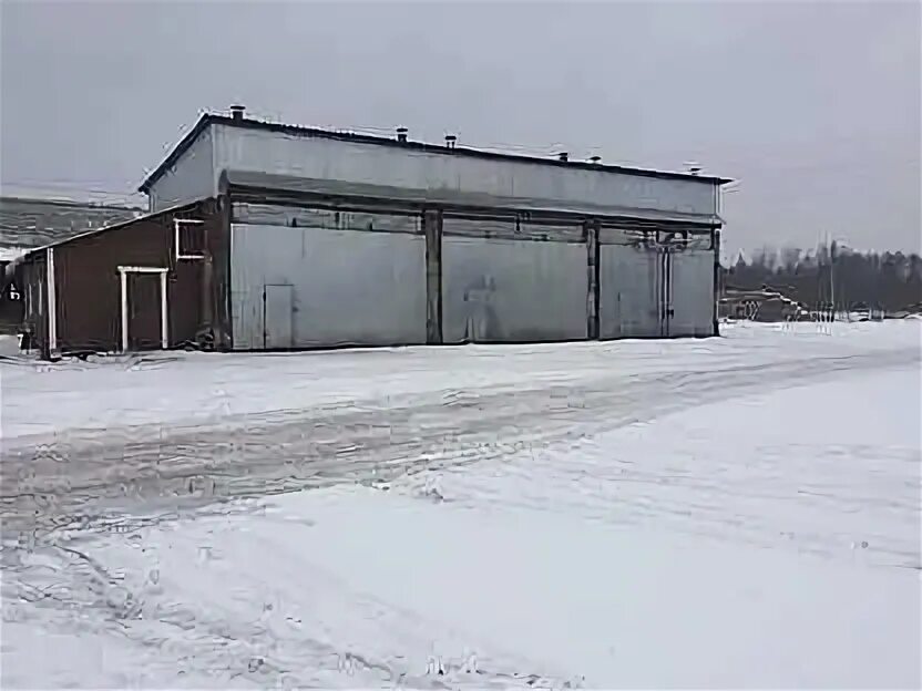 Услуги сокол