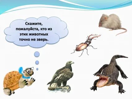 Какое животное не может жить без уроков
