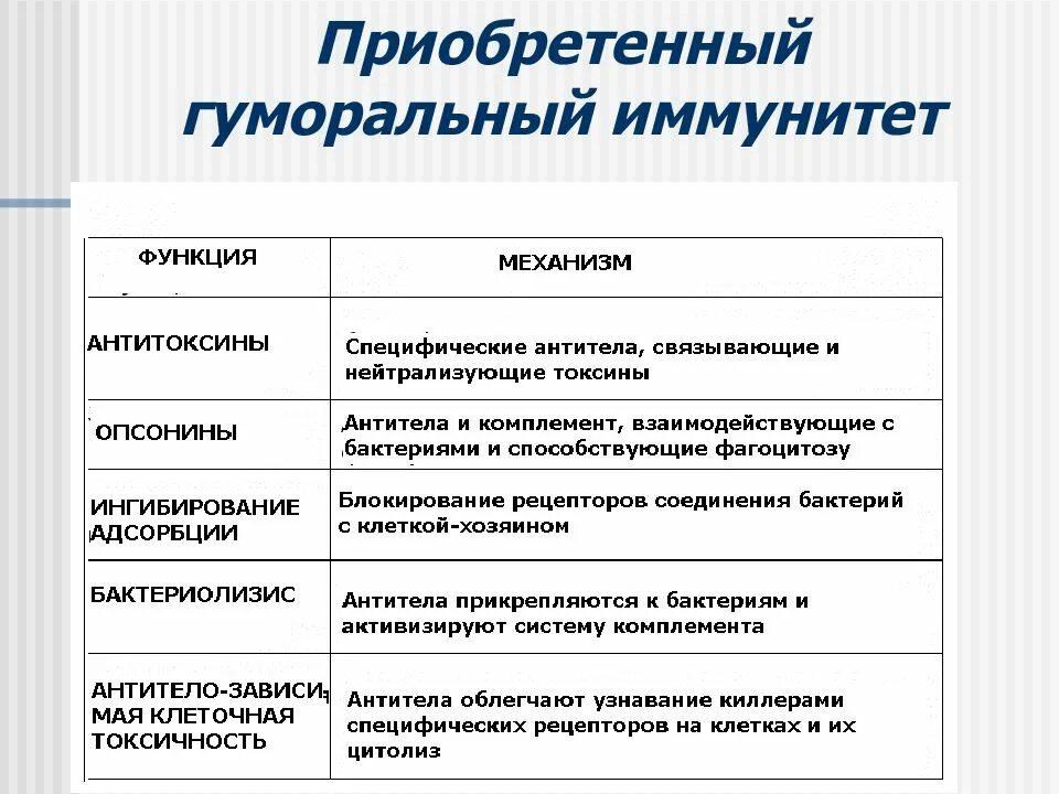 Функции клеточного иммунитета. Факторы приобретенного иммунитета. функции приобретенного иммунитета. гуморальные факторы приобретенного иммунитета. классификация иммунитета клеточный гуморальный.