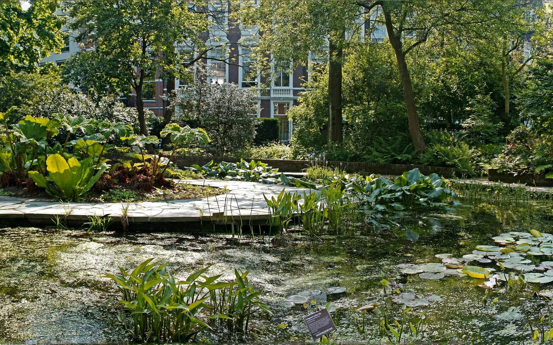 Сады на реке каблуково. Куст около озера. Река воря сады на реке. Сады на реке щелковский район. Ива плакучая серебристая.