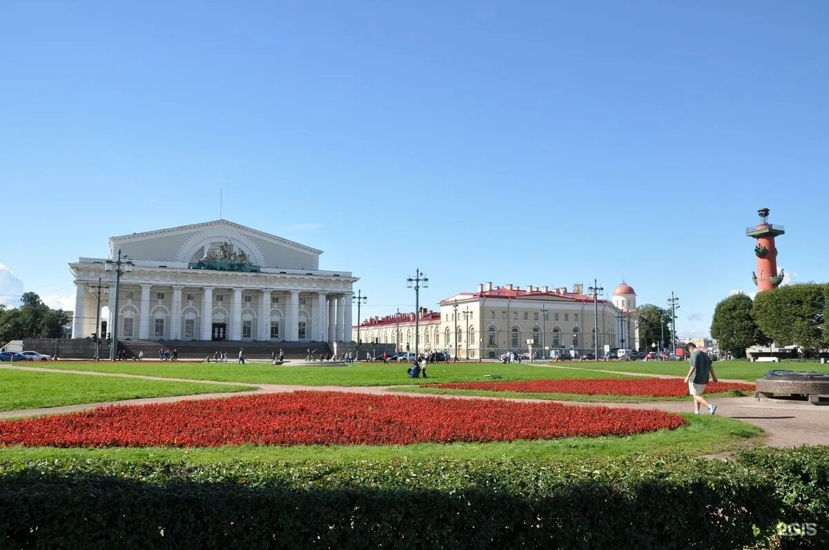 Биржевая площадь стрелка васильевского острова. Биржевая площадь в москве. Стрелка васильевского острова в санкт-петербурге фото. Ансамбль биржевой площади. Стрелка васильевского острова санкт-петербург.