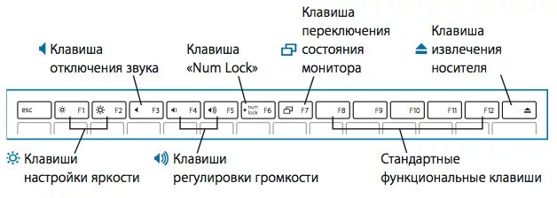 C управление клавишами